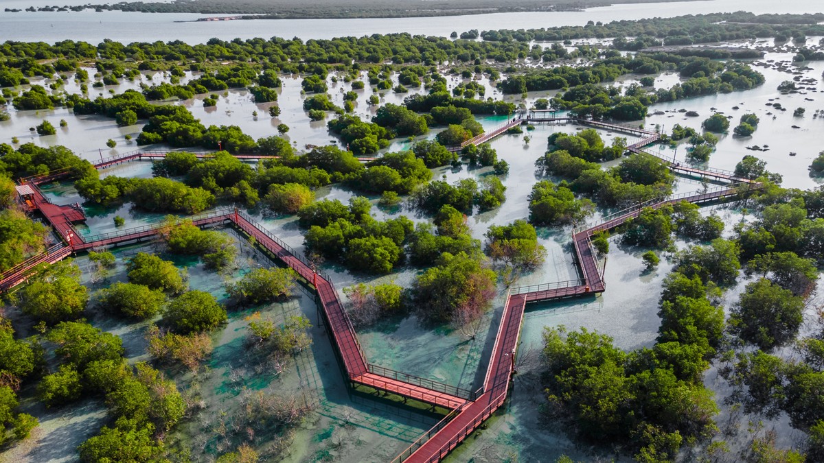 Mangrove Marine National Park