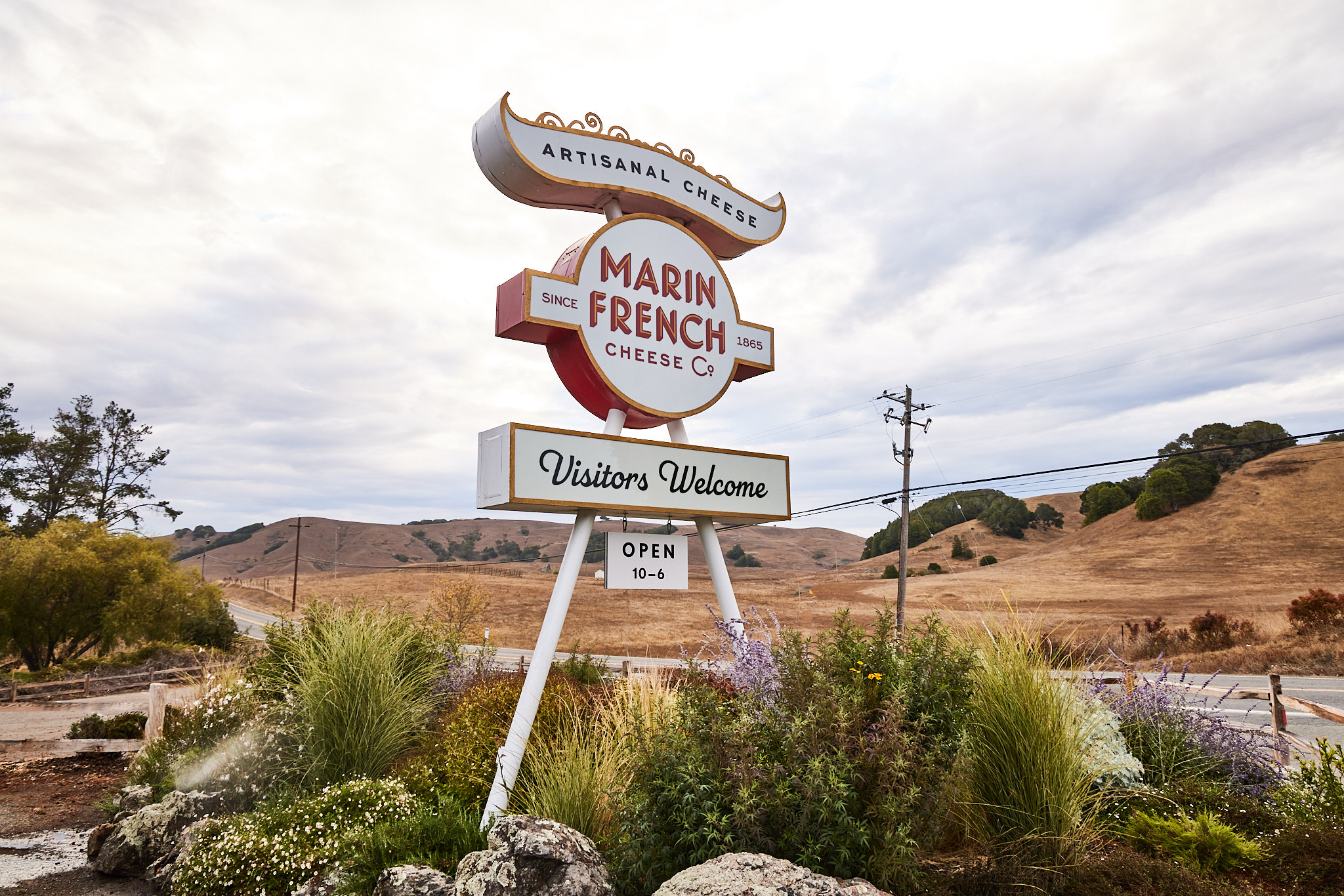 Marin French Cheese