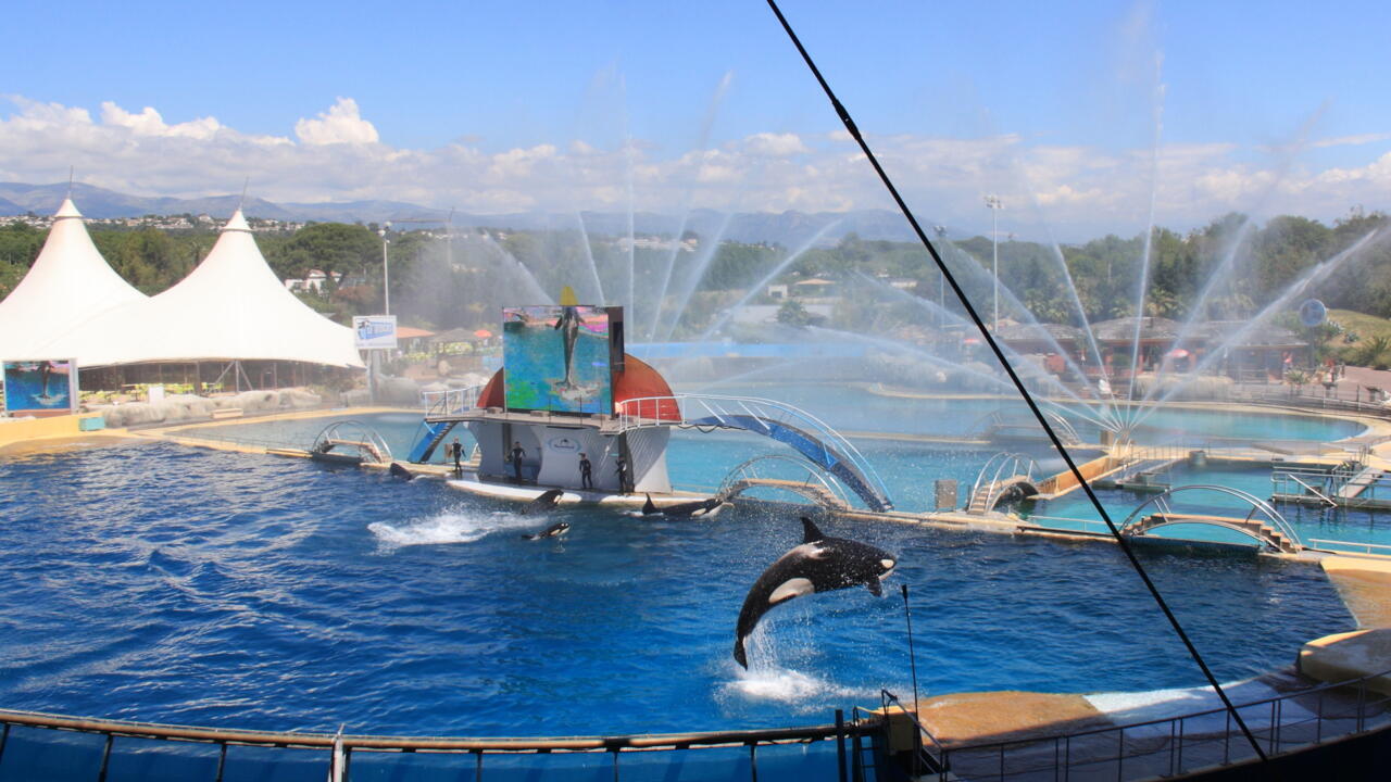 Морской парк Marineland