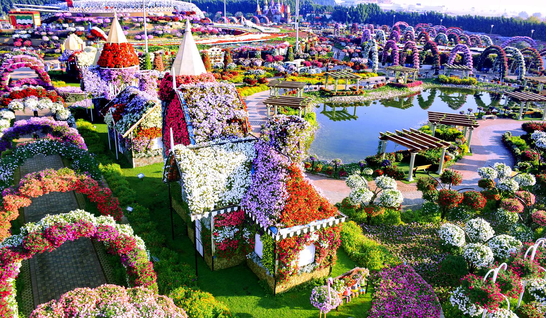 Цветочный сад Miracle Garden