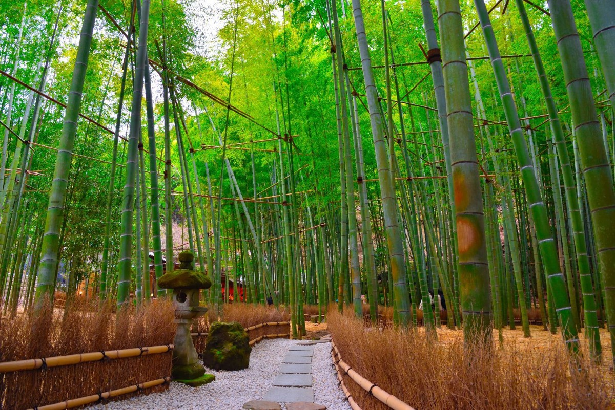 Храм Хококу-дзи