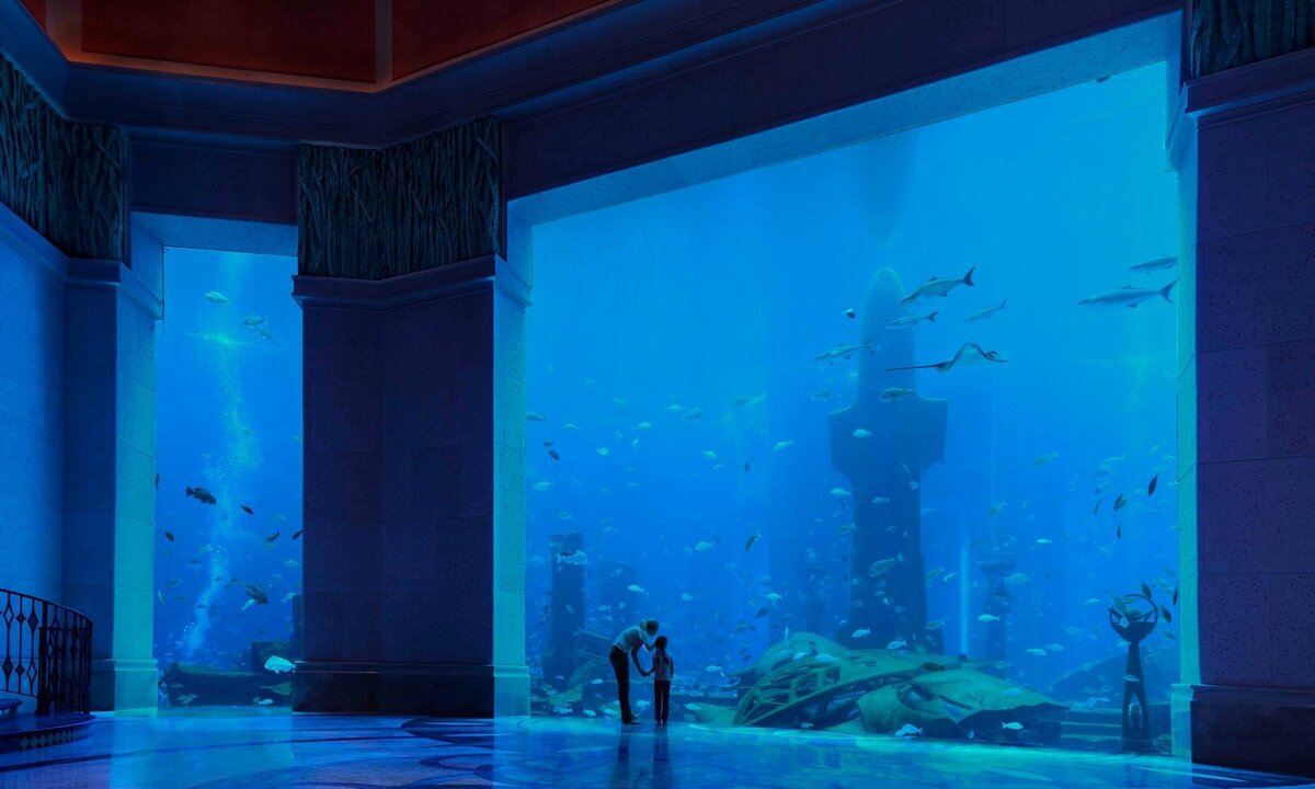 Atlantis The Lost Chambers Aquarium