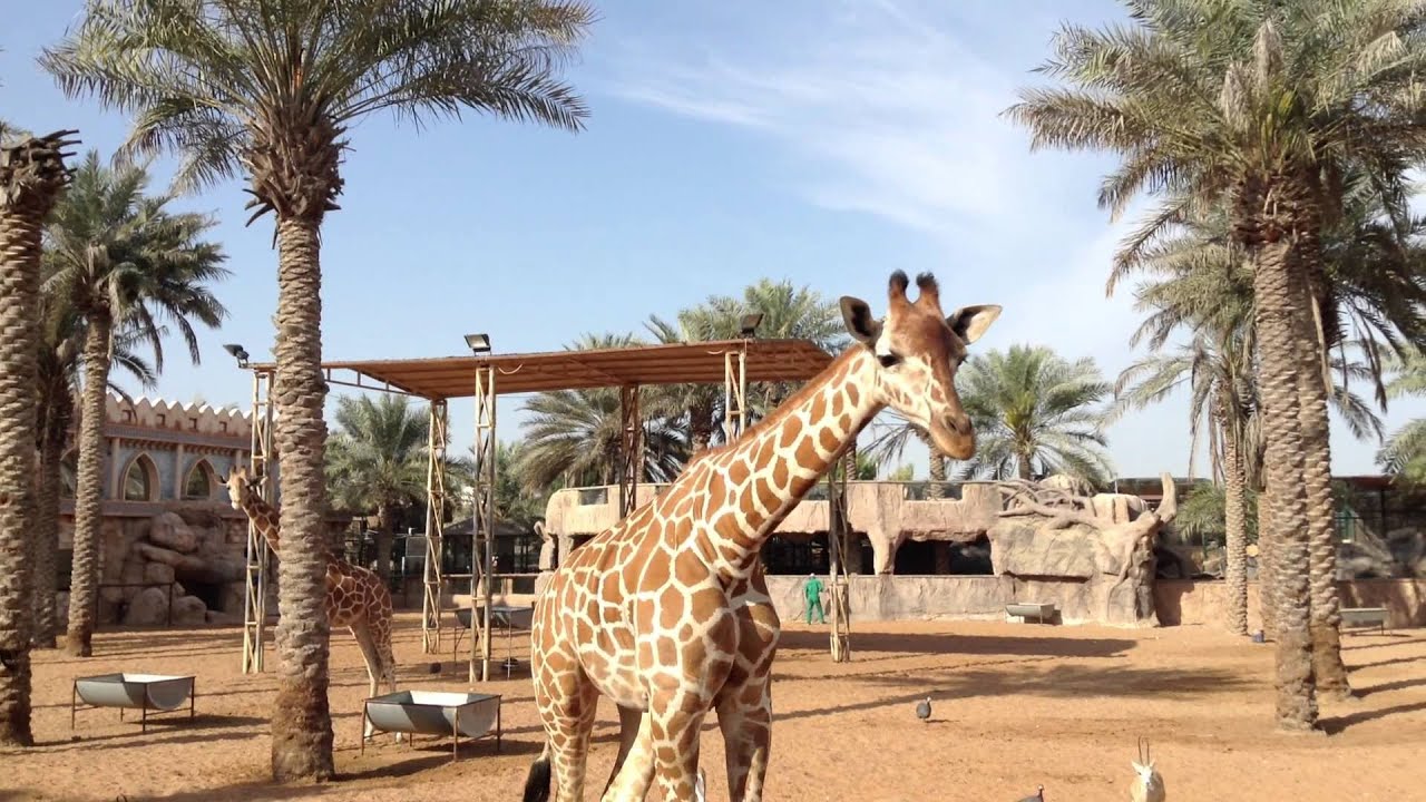 Emirates Park Zoo