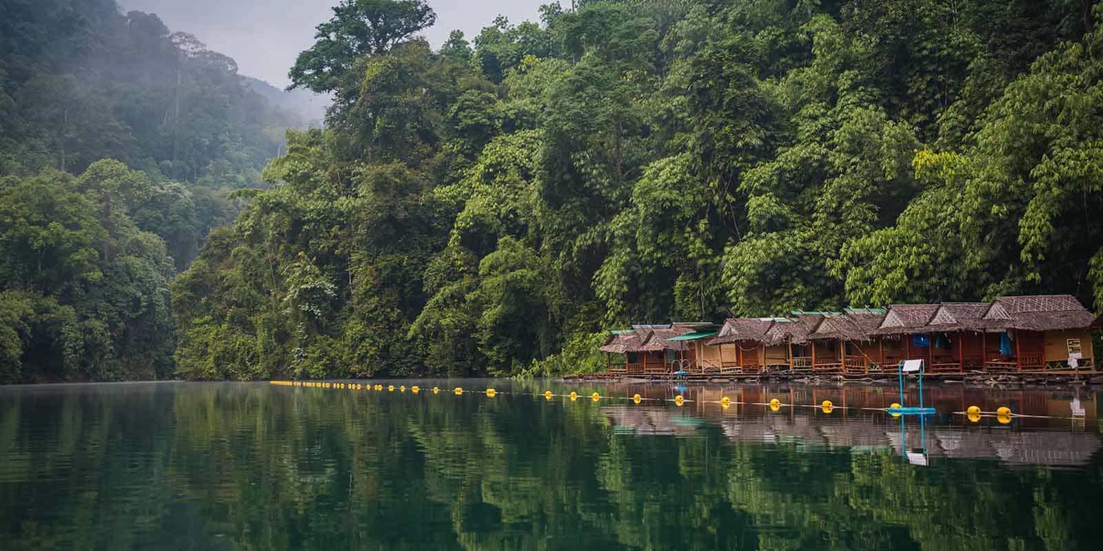 Поездка в джунгли