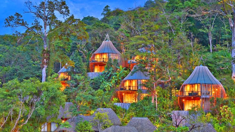 Джунгли Пхукета: стоит ли туда ехать и что вас ждет в сердце острова