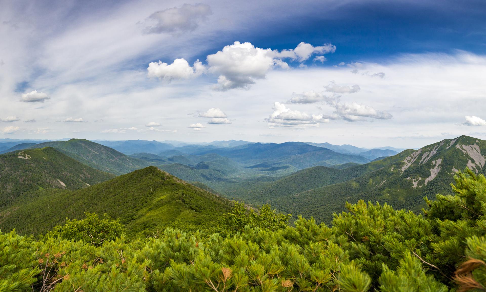 Сихотэ-Алинь